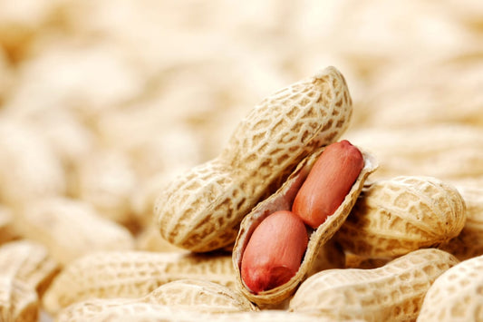 Le arachidi sono una ricca fonte di nutrienti. Contengono fibre, vitamine del gruppo B, vitamina E e minerali come ferro, zinco,